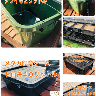 樽型メダカ飼育ケース【小】　オーバーフロー対策済みの画像