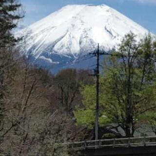 湧水の川でフライフィッシング！