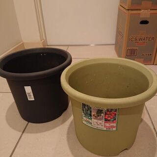 ８号鉢 ベランダガーデニングに