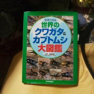 クワガタ、カブトムシ大図鑑