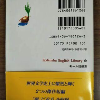 英語の小説2冊の画像