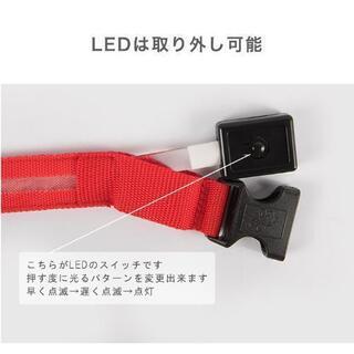 光る首輪 大型犬 中型犬 ベルトタイプ 首輪 光る 首輪 ペット 犬 散歩 LED led 夜 小型犬 中型犬 大型犬 ドッグラン アウトドア ナイトラン 点灯 点滅 電池式 光るグッズ 安全 安全グッズ

の画像