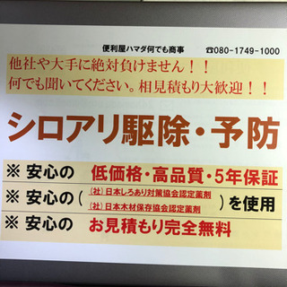 シロアリお任せください。