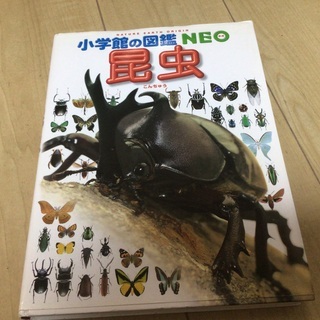 小学館の図鑑NEO昆虫　こども大百科キッズペディア大図解