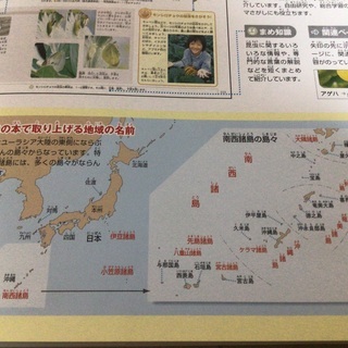 小学館の図鑑NEO昆虫　こども大百科キッズペディア大図解の画像