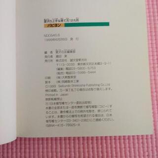 パピヨンの画像