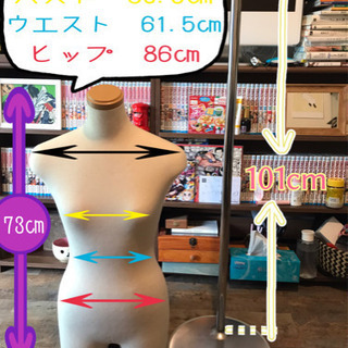 ReBody トルソー