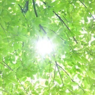 年間休日120日/残業少な目（月10時間程度）/産休・育休完備 ...