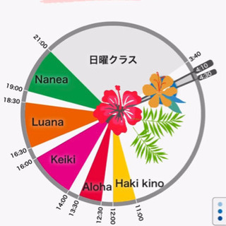 🌺フラ　エクササイズ 参加者　募集中 - 山武郡