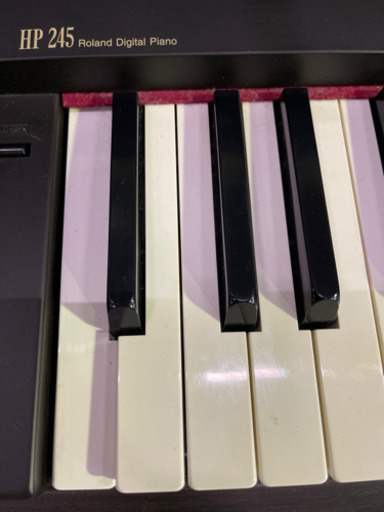 0519010 HP 245 Roland Digital Piano