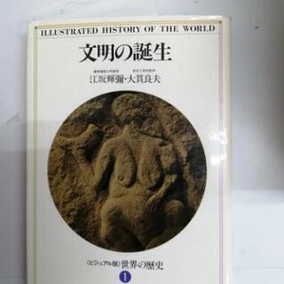 講談社　ビジュアル版　世界の歴史　12冊の画像