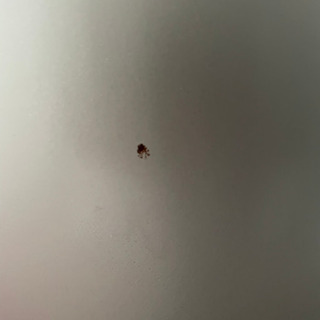 ⭐️2012年Panasonic138ℓ‼️表面に焦げ⁉️2時間頑張って落ちなかった汚れを評価してくれるそんなあなたが大好きです。の画像