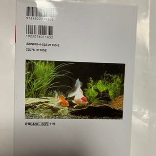 楽しい金魚の飼い方、育て方の画像