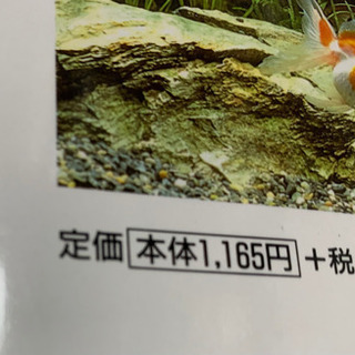 楽しい金魚の飼い方、育て方の画像