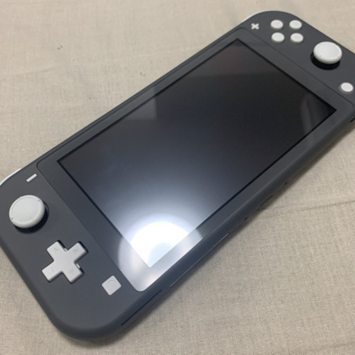 5/20-21のみ Nintendo スイッチライト