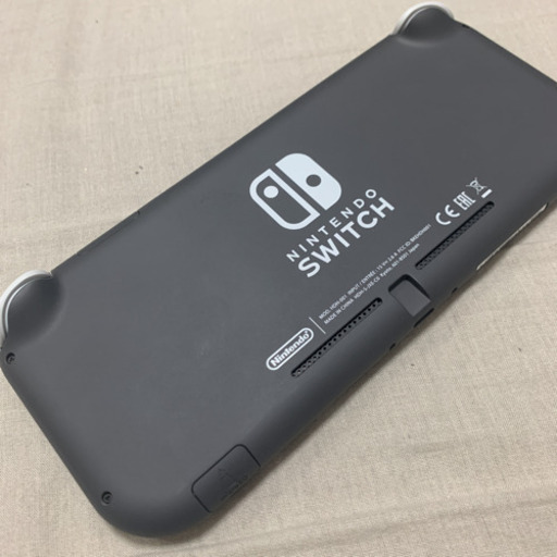 5/20-21のみ Nintendo スイッチライト