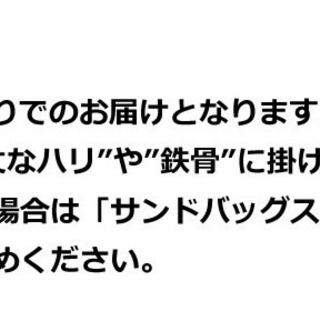 【無くなり次第終了】最高品質サンドバックの画像