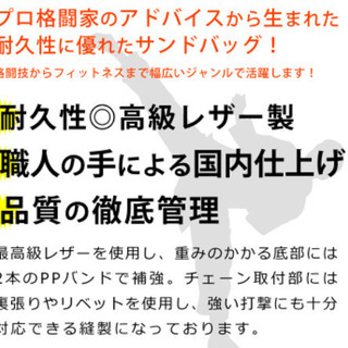 【無くなり次第終了】最高品質サンドバックの画像