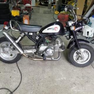 HONDA　カスタムモンキー　Z50J 12V 88cc 