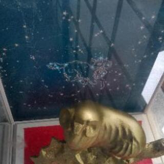 おひつじ座の画像