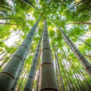 暇なときにだらだらお話しましょ～