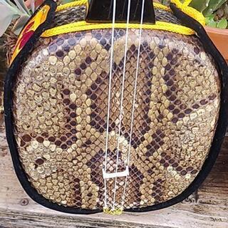 蛇三線 三線 蛇革