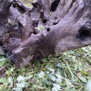 木の置物の画像