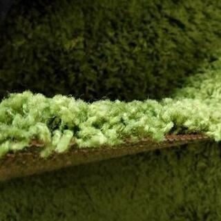 【値下げ】IKEA　ラグ　グリーンの画像