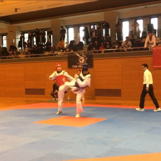 テコンドー選手募集(全日本選手権大会向け)