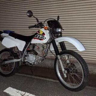 XLR125R オフロード フルサイズ 原付2種
