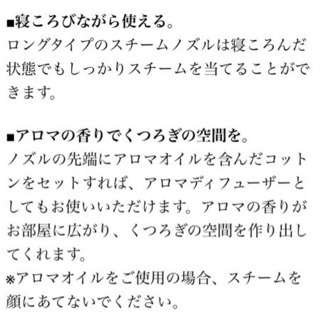 ［ジャンク品］スチーマーの画像