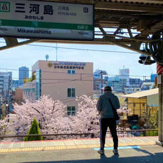 ✨カメラ撮影✨都電（三ノ輪橋駅周辺）のバラ撮影