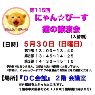 5月30日(日)🌸子猫21匹参加❣️にゃん☆ぴーす猫の譲渡会🌸「...