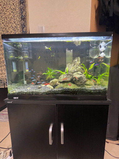 水槽セット（5/23(日)まで限定）