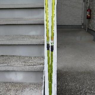 ノルディックウォーキングポール