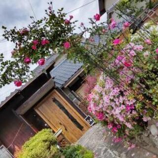 *香川県高松市の　民泊　ゲストハウス　（陶芸体験も）です。 − 香川県