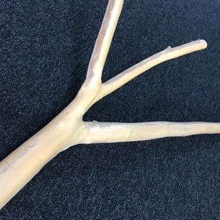 木材　木　天然木　長さ約1m90cm  