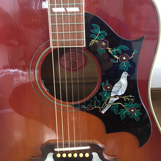 ギブソンギター　ハミングバードDoveの画像