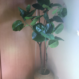 フェイクグリーン　観葉植物