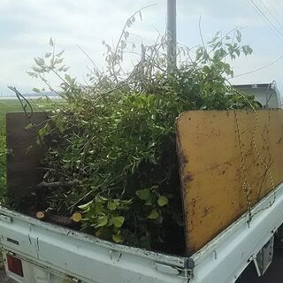 トラックで木を運ぶ🌸簡単な作業の手伝いをお願い致します！