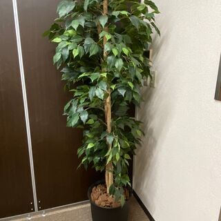 鉢植えフェイクグリーン