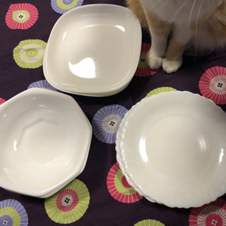 白い平皿やスープ皿（使用していたものです）