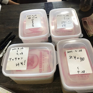 発酵講座　5月の画像