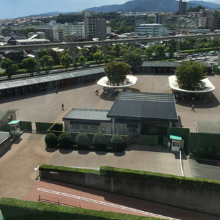 競馬情報交換グループチャット - チャット