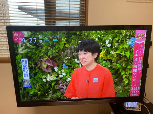 Panasonic TH-L42G3 42インチ　液晶テレビ