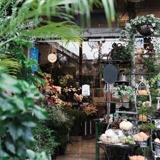 【お花屋さんの販売スタッフ／事務】未経験OK◆週3日〜勤務OK◆時給935円〜【さいたま市桜区／浦和区】の画像