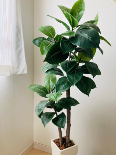 観葉植物フェイク⭐︎緑が欲しい方に　取引中