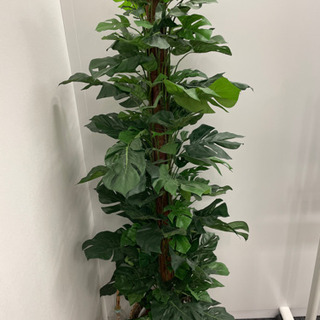 観葉植物（フェイク）