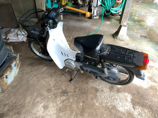 スズキ　バーディ50