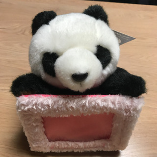 パンダ　写真入れ付き　ぬいぐるみ　アドベンチャーワールド